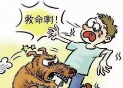 如遇惡犬咬人該怎么辦？這些知識(shí)也許能救命！