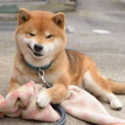相信你也害怕遇到這幾種人吧？