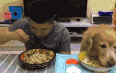 如果你家也有只吃貨狗狗，這點一定要注意！