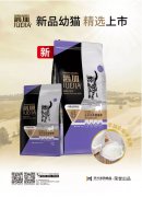 爵加新品幼猫精选上市！