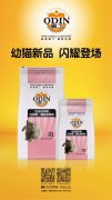 奧丁精品幼貓糧閃耀登場(chǎng)?。?！
