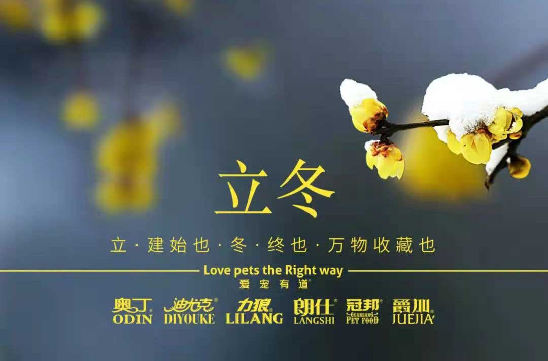 立冬丨冬寒初始，情暖愈濃