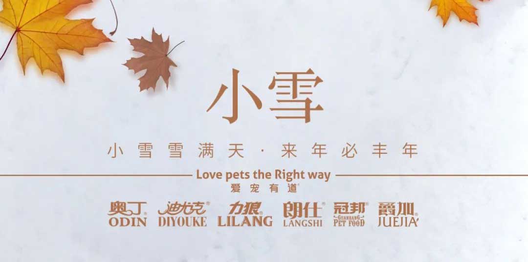 小雪丨天地初寒，歲月安暖